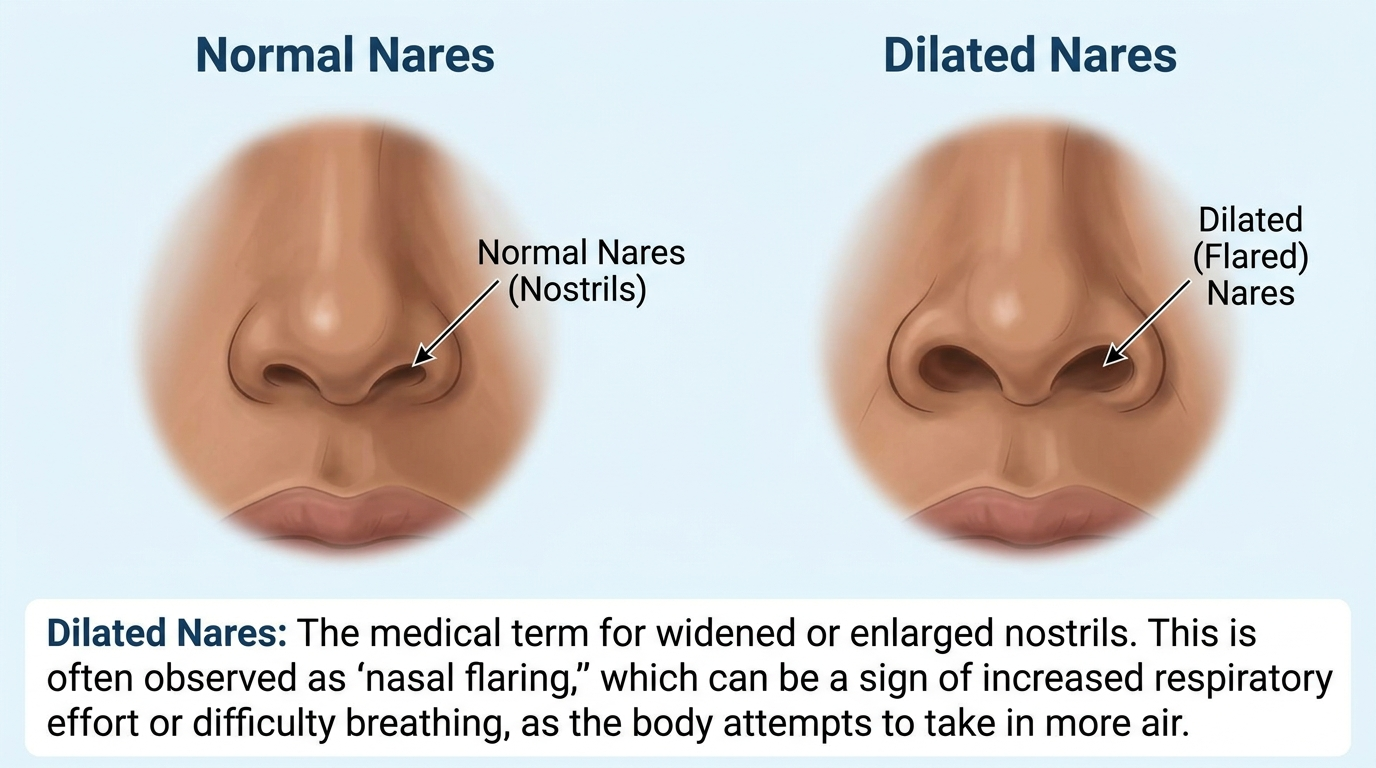 big nostril jokes